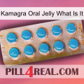 Kamagra Oral Jelly What Is It new09